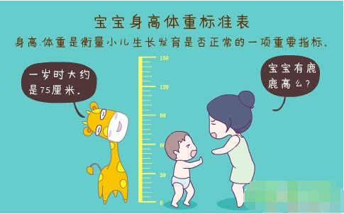 超声波榴莲视频APP下载WWW正确测量方法标准身高体重表 超声波榴莲视频APP下载WWW正确测量方法标准身高体重表