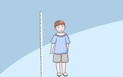 超声波榴莲视频APP下载WWW生活水平提高了孩子长高的关键期是哪几个 超声波榴莲视频APP下载WWW生活水平提高了孩子长高的关键期是哪几个